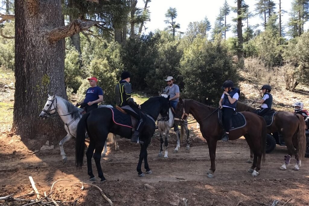 Horseback riding activity - mnarcastle.com