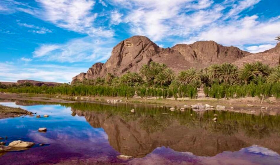 Oasis Morocco: Explore the Most Stunning Desert Retreats