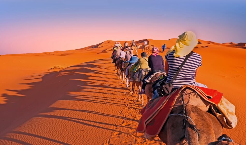 Reasons Not to Visit Morocco – Unless You’re Ready for an Unforgettable Adventure