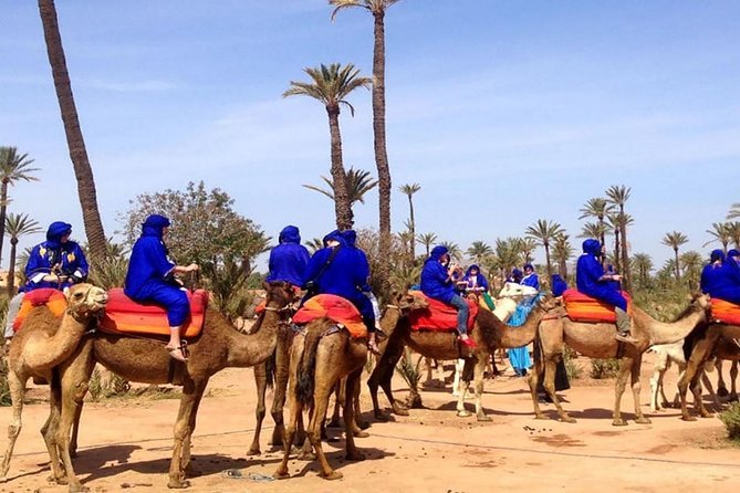 Camel Ride Marrakech – The Ultimate Moroccan Desert Experience