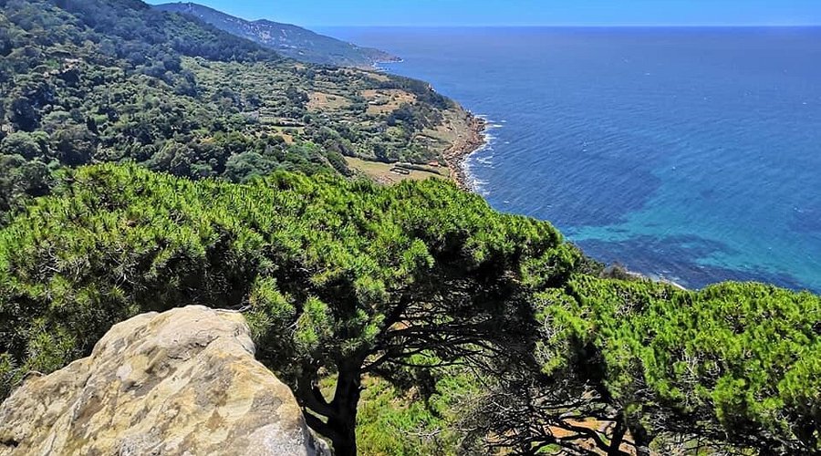Activités Tanger : meilleures expériences à vivre au Maroc