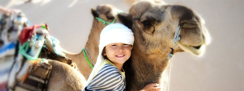 Vacaciones con Niños en Marruecos | Guía de Destinos Familiares